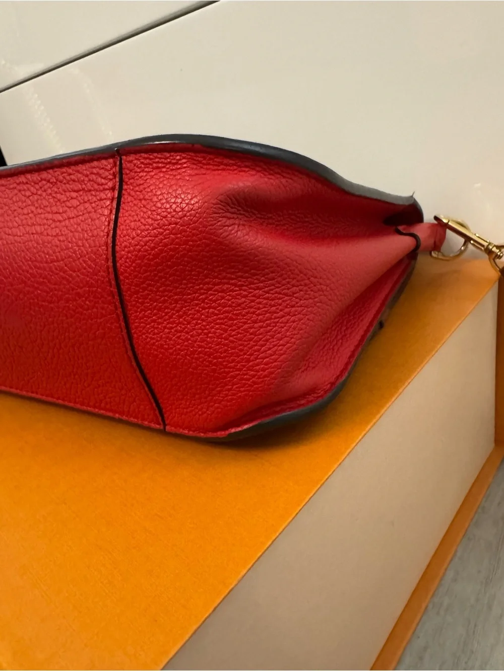 Louis Vuitton authentic comes